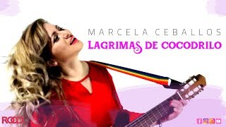 Lagrimas De Cocodrilo Music Video