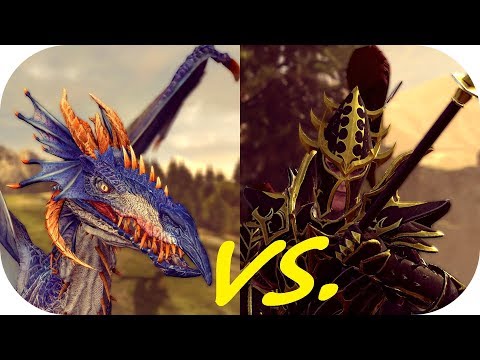 Total War: Warhammer II ♦ Fight Club ♦ Star Dragon vs. Black Guard of Naggarond