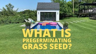 Pregerminating Grass Seed / Step-by-Step / IT WORKS!
