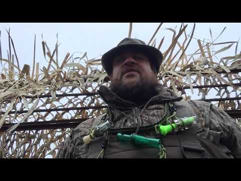 RM CWF vs Lares Hybrid