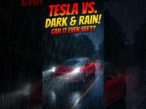 Tesla FSD Driving in the Dark and the Rain (Hands Off)