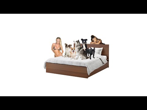 Skisia2, Underaiki & Suei - Mi Cama es King Size (official music video)