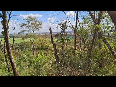 Vista do Morrinho em Morro agudo SP