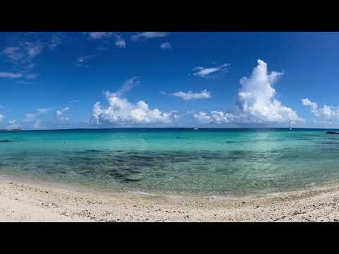 Tikehau, plongée à la passe Tuheiava, Archipel des Tuamotu, Polynesie.