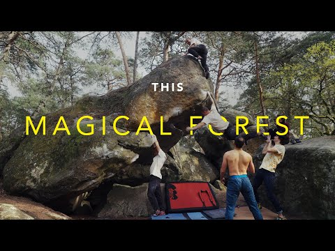 Bouldering in Fontainebleau Changed My Life