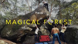 Bouldering in Fontainebleau Changed My Life by  rockentry