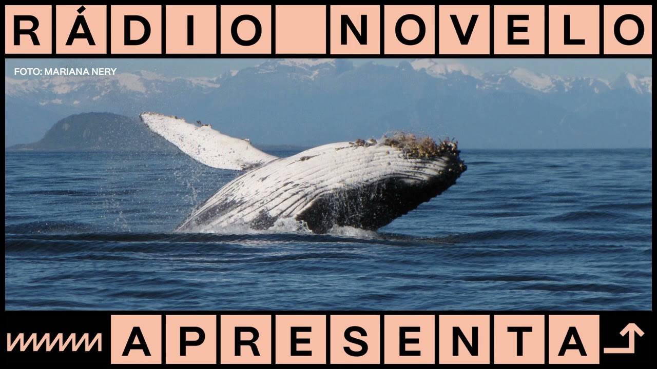 Os mistérios do corpo | Podcast Rádio Novelo Apresenta