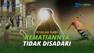 Nabi Sulaiman, Raja Segala Makhluk, Tiada yang Sadar dengan Kematiannya, Jin pun Takut Menatapnya