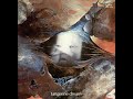 Tangerine Dream - Atem - Fauni-Gena