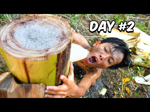 Surviving 3 Days in Jungle