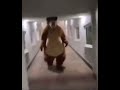 SCP 1048² Terror Bear