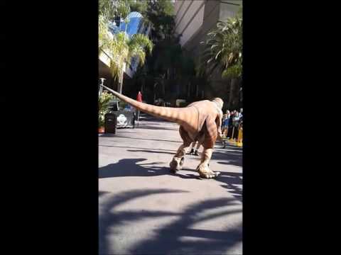 When a Raptor Photo Op Doesn't Go as Planned