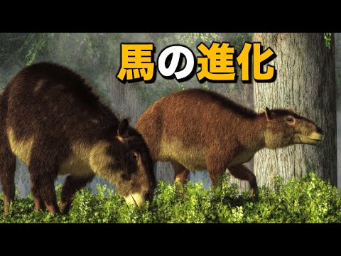 馬の起源と進化