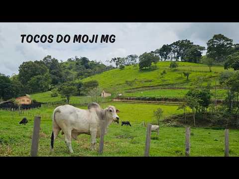 Tocos do Moji MG - Passeio da Rota 408 pelo Estado de Minas Gerais - 16° Temp - Ep 44