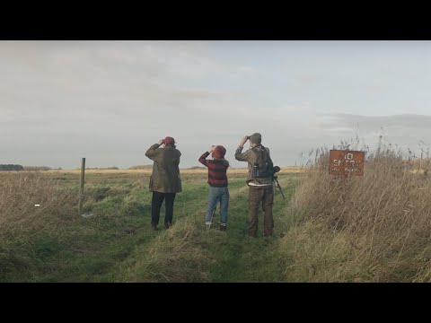 Laura J Martin - Prepared (Official Video)