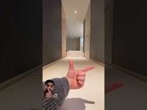 Cute🐶🥰 training pets mind blowing#shorts #subscribe #youtubeshorts #viralvideo #trending 🔥🔥 #dog