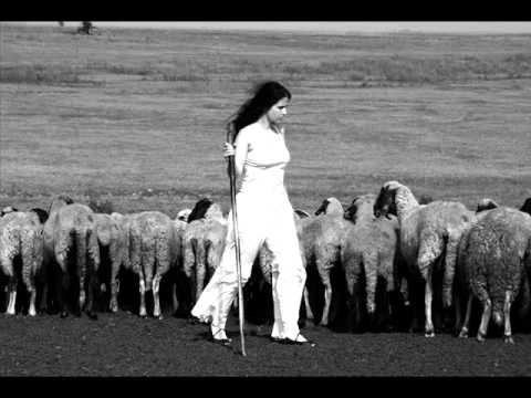 Berekini - Ajde mala od mene (vlaška)