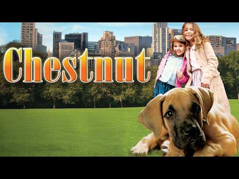 Chestnut: El Héroe de Central | PELICULA COMPLETA