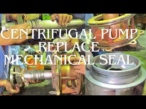 Central sea water cooling pump replace mechanical seal.