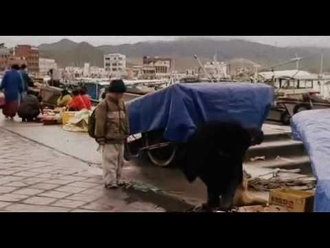 华严经（韩国佛教电影）