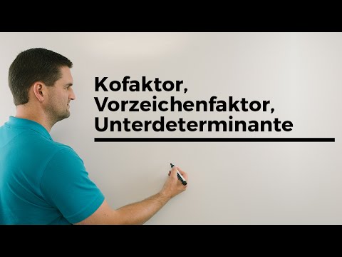 Kofaktor, Vorzeichenfaktor, Unterdeterminante, lineare Algebra, Matrizen | Mathe by Daniel Jung