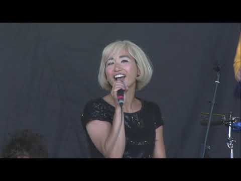 bluedot 2017 | Whyte Horses Experience (Live) | Full Set