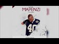 BUSHOKE - Mapenzi Yaongee (Official Audio)