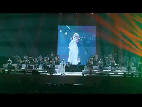 Mấy con mèo | Đạt Maniac | Live at Cam See Hanoi 2024 @camby8thetheatre
