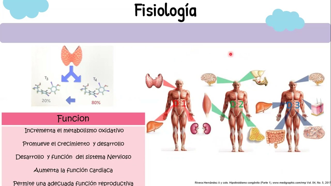 HIPOTIROIDISMO CONGÉNITO
