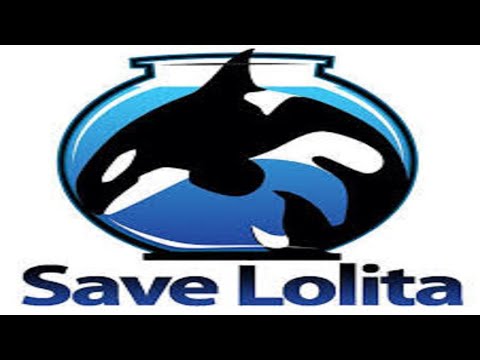 Lolita - The Orca In 'Lockdown' For 52 Years