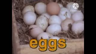 Sesame Street: Eggs