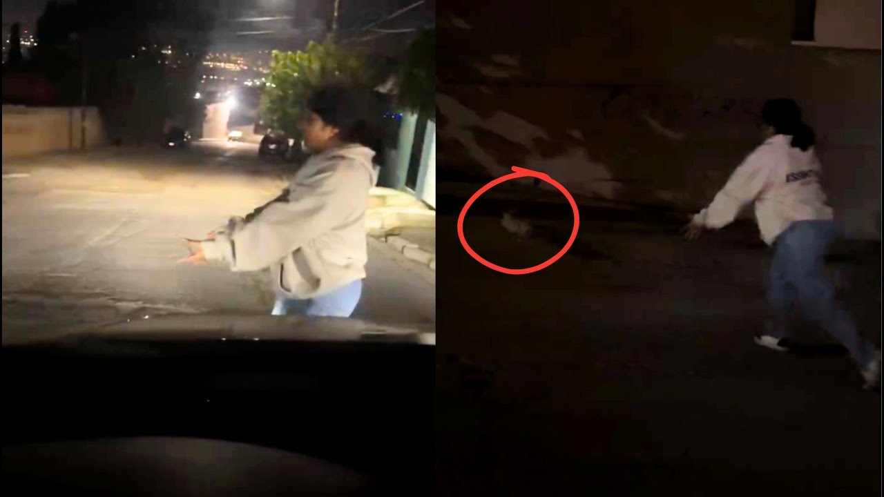 AMÁ AYÚDAME, me quieren ROBAR: PERRITO CHIHUAHUA se SALVA de UNA REGINA