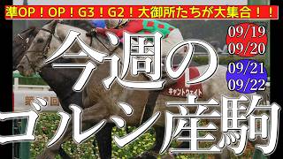 今週のゴールドシップ産駒 (09/19,20,21,22)【準OP！OP！G3！G2！大御所たちが大集合！！／キャントウェイトほか】