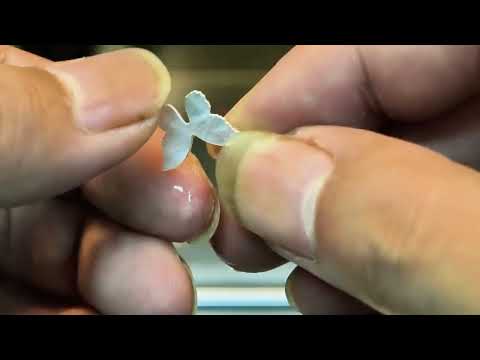 UV Laser Marking Machine for Shell Cutting