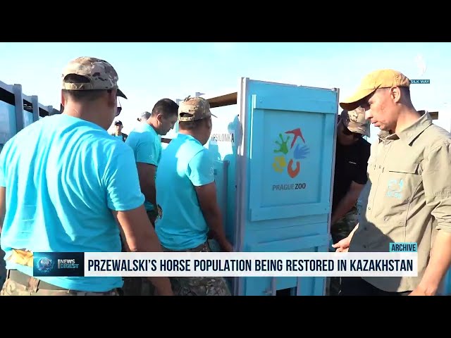 Қазақстанға Пржевальский жылқыларының кезекті партиясы әкелінеді