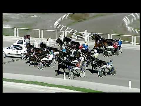 Trotto 11/12/2020 - 1ª corsa