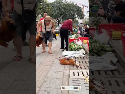 “I Replayed This 10 Times and Still Laughed Hard 🤣” #funny #comedy #shorts #shortvideo #lol #prank