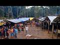 Brazil The Law Of The Jungle Deadliest Journeys