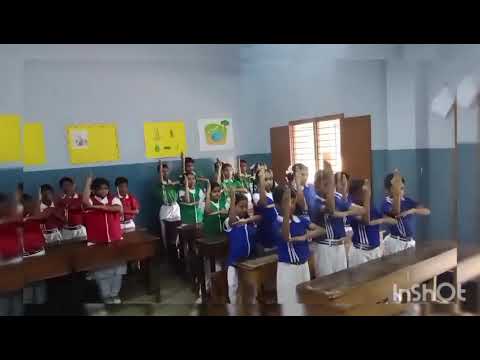 School Activity