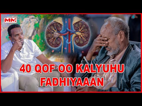 Xaaladda 40 qof oo Kalyuhu fadhiyaan. ©MMTV Amar La'aan Ha qaadan Muuqaalkan