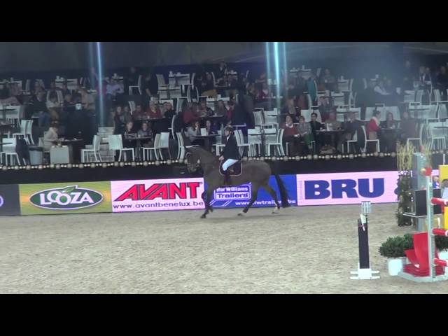 Half-sister of the mother of this Implanted Embryo is the CSI 1.60m jumping mare Daytona de muze with rider Jody Bosteels.