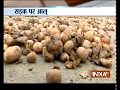 UP: 2 arrested for throwing potatoes outside UP Assembly