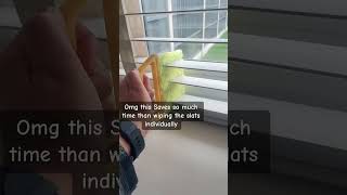 Essential Handheld Blind Cleaner for Dust-Free Windows #cleaningfok #dusting