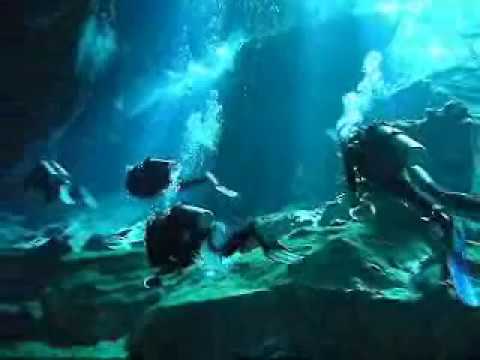 Mexican Cenotes - May 2006