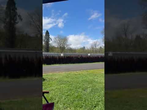 Train #36