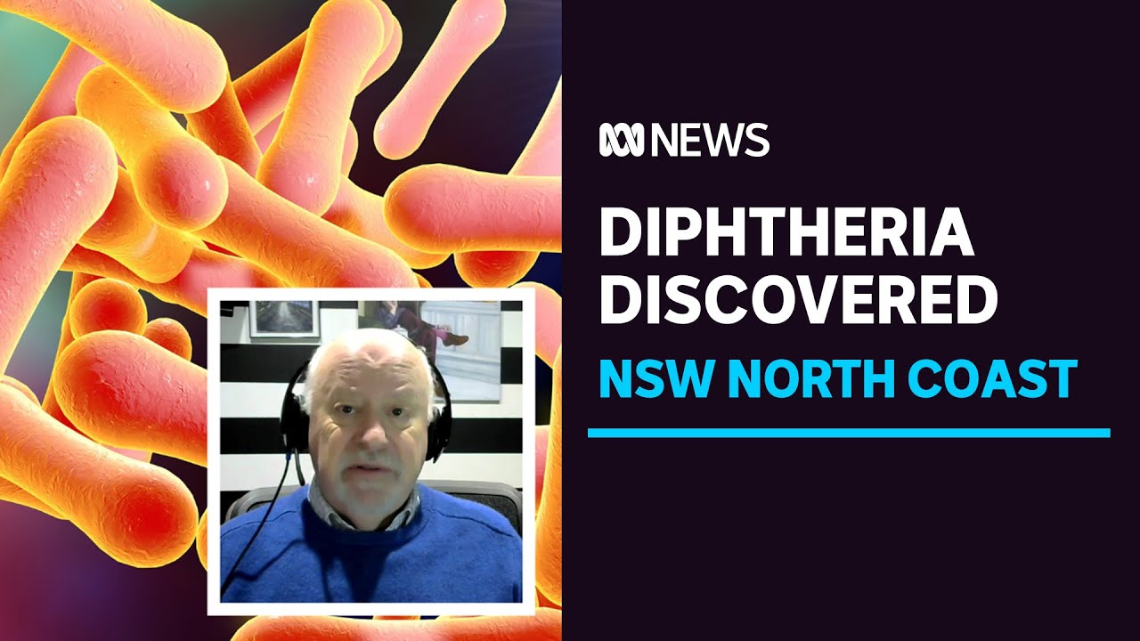 Diphtheria identified in two children in northern NSW. How serious is the infection? | ABC News