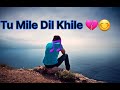 Tu Mile Dil Khile Stebin Ben Asees Kaur Larissa B Lijo G Dj Chetas Latest Hindi Song