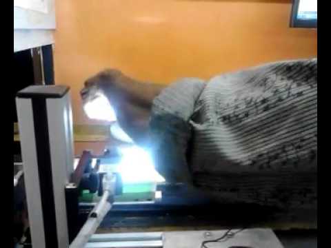 Laser Marking Inspection System