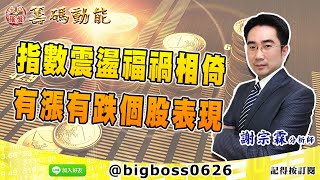 【大戶羅盤籌碼動能】 #謝宗霖 0308，指數震盪福禍相倚 有漲有跌個股表現 (圖)