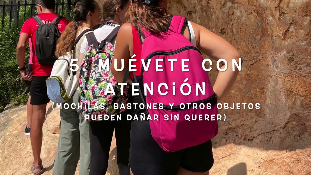 Guía de Buenas Prácticas para descubrir, disfrutar y proteger el arte rupestre (CCNAR)